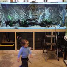 Pet Only Aquarium | Unit 6/26 Sandford St, Mitchell ACT 2911, Australia