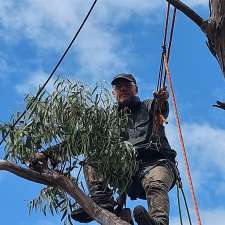 Jerome's Tree Pruning | 15 Coughlan Grove, Ocean Beach WA 6333, Australia