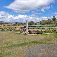 Emu Heaven -TRY It Emu Farm-Marburg | Warrego Hwy, Marburg QLD 4346, Australia