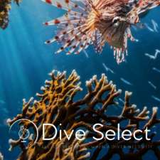 Dive Select | 481 Bunnerong Rd, Matraville NSW 2036, Australia