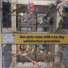 Best Friends Pets Thomastown | 36 Dalton Rd, Thomastown VIC 3074, Australia