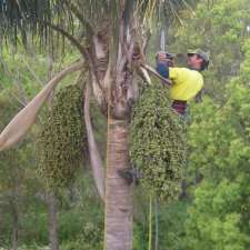 Hall’s Tree Service | 3790 Nelson Bay Rd, Bobs Farm NSW 2316, Australia