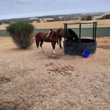 Cunderdin Shire Council | Lundy Ave, Cunderdin WA 6407, Australia