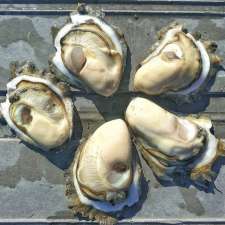 Stella Maris Oyster Co. | 37 Oyster Farm Rd, Lemon Tree Passage NSW 2319, Australia