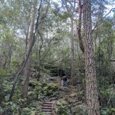 Fairy Dell Track | Fairy Dell Track, Blue Mountains National Park NSW 2777, Australia