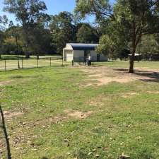 Kalinga Dog Park | 61 Bertha St, Wooloowin QLD 4030, Australia