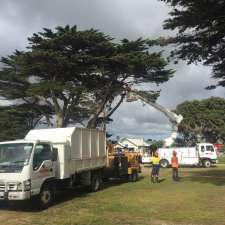 Wood Professional Tree Services | 385 Grubb Rd, Wallington VIC 3221, Australia