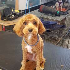 South Side Dog Grooming | 4/6 Farr Pl, Isaacs ACT 2607, Australia