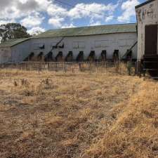 Peter Maher Shearing Services | Lower Rankin St, Forbes NSW 2871, Australia