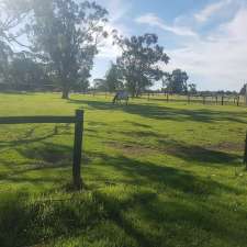 Mys-tro Park Farms Horse Agistment | 44 Strachan Rd, Bullsbrook WA 6084, Australia