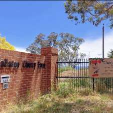 Wallaroo Cherry Orchard | 559 Wallaroo Rd, Wallaroo NSW 2618, Australia