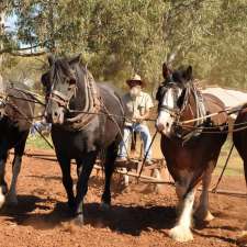 Larne Draught Horses - Working Draught Horse Museum | 48 McInnes St, Lake Cargelligo NSW 2672, Australia