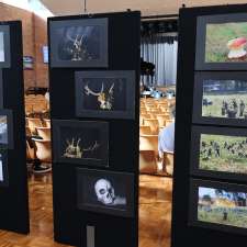 Display Creation Exhibition Hire | Establishment | 6 Birdie Beach Dr, Lake Munmorah NSW 2259, Australia