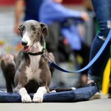 Greyhounds As Pets SA | 55 Cardigan St, Angle Park SA 5010, Australia
