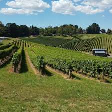 Blefari Wines | 7 Gully Rd, Carey Gully SA 5144, Australia