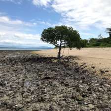 Stephens Island Camping Area | Sisters-Stephens Reef, Kurrimine Beach QLD 4871, Australia