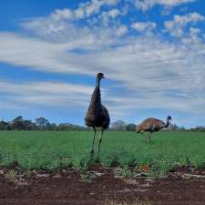McMasters General Permission Area | Gregory Developmental Rd, Clermont QLD 4721, Australia
