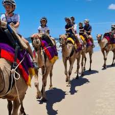 Noosa Camel Rides | 240a Wilderness Track, Noosa North Shore QLD 4570, Australia