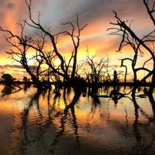 River Lady tours Menindee | Main weir, Menindee NSW 2879, Australia