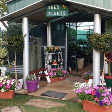 Ree's Plants and Nursery | Rubyvale Rd, Clermont QLD 4721, Australia