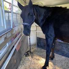 Darling Downs Equine Transport | Highfields QLD 4352, Australia
