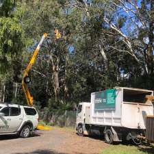 Central Coast Treeworx | 96 Lakedge Ave, Berkeley Vale NSW 2261, Australia