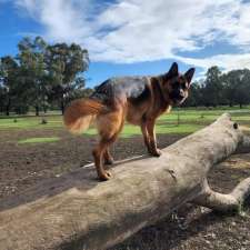 Wookie Dogs | 134 Swan St, Henley Brook WA 6055, Australia