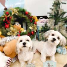 Lovely pets Pet Grooming | 12 Burwood Rd, Concord NSW 2137, Australia