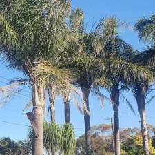 Hi palms | 230 Whites Rd, Paralowie SA 5108, Australia