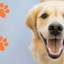 Dr Paws North Ryde Veterinary Clinic, Doggy Daycare and Cattery | 384 Lane Cove Rd, North Ryde NSW 2113, Australia