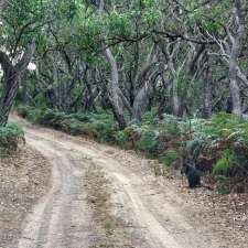 Parker Hill Camp Ground | Cape Otway VIC 3233, Australia