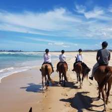 Horseabout Tours | 22 Dee Cres, Tuncurry NSW 2428, Australia