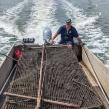 Brighton Oysters | 1455 Manning Point Rd, Mitchells Island NSW 2430, Australia