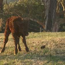 Glenbrae Farm | 70 Bingham Rd, Jeetho VIC 3945, Australia