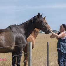 The Winged Horse Equine Welfare | 215 Queenscliff Rd, Portarlington VIC 3223, Australia