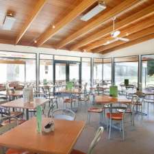 Waterfalls Cafe and Gallery | 90 Lake Dobson Rd, Mount Field TAS 7140, Australia