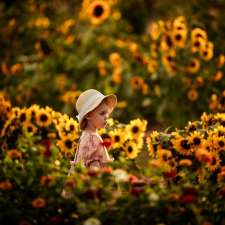 Natural Focus Photography | 29 Putty Rd, Wilberforce NSW 2756, Australia