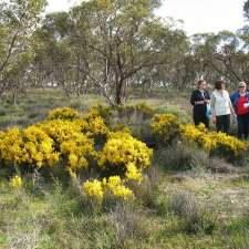 Wirraworra sanctuary | Sandpit Rd, Reeves Plains SA 5502, Australia