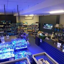 Fantasea Aquariums | 2/2 Carnarvon Rd, West Gosford NSW 2250, Australia