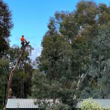 Hills Tree Solutions | 4 Sutcliffe Rd, Mundaring WA 6073, Australia
