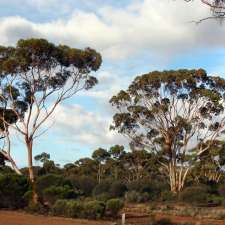 AMBS Ecology & Heritage | Unit 14/1 Hordern Pl, Camperdown NSW 2050, Australia