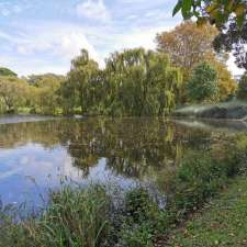 Musgrave Pond | 101 York Rd, Queens Park NSW 2022, Australia