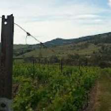 Winstead vineyard | 75 Winstead Rd, Bagdad TAS 7030, Australia