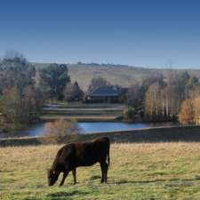 Longford Station Wagyu | 10 Retreat Road, Bendemeer NSW 2355, Australia