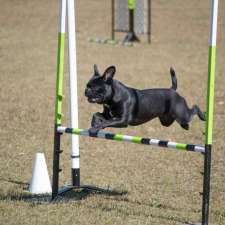 Pawz Crossed, Deepwater Kennels | 9 Short St, Deepwater NSW 2371, Australia