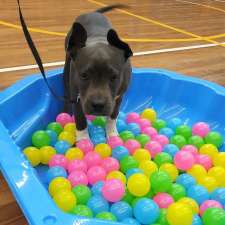 Miss Behaviour Dog Training Services | Cook & Banks Reserve, 127 Banks Dr, St Clair NSW 2759, Australia