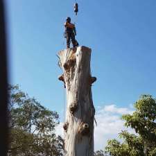 Hornsby Tree Service | 3 Mara Cres, Mooney Mooney NSW 2083, Australia