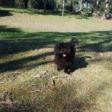 Piccole Pawsome Dog Walking & Pet Sitter | 27 Princes Hwy, Tempe NSW 2044, Australia