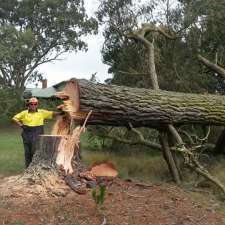 Aussie Tree Fellers | 22 Lithgow St, Goulburn NSW 2580, Australia