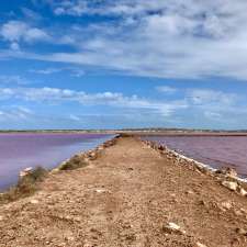 Pink Lake | Port Gregory Rd, Gregory WA 6535, Australia